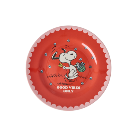 Rice Plate Red Snoopy Peanuts