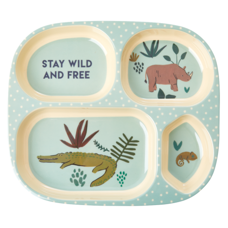 Rice Melamine 4 Room Plate Green